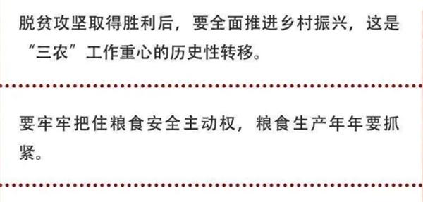 2020年中央農(nóng)村工作會議精神速覽！(圖2)